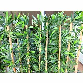 Bambu Yapay Çiçek I Bambu Saksısı I Antrasit Ahşap Saksı