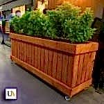 Kemerli Ahşap Saksı