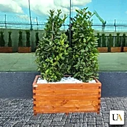 Kertme Ahşap Saksı