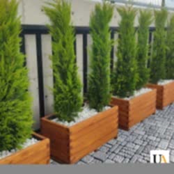 Kertme Ahşap Saksı