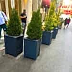 Geçmeli Ahşap Saksı