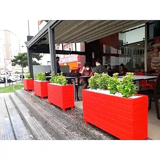 Taflan Çiçeği Altuni Taflan Çiçeği