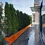 Lambri Ahşap Saksı 2