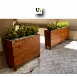 Altuni Taflan Çiçeği Altuni Taflan Çiçeği