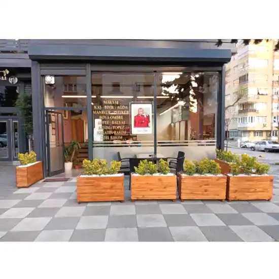 Taflan Çiçeği Altuni Taflan Çiçeği